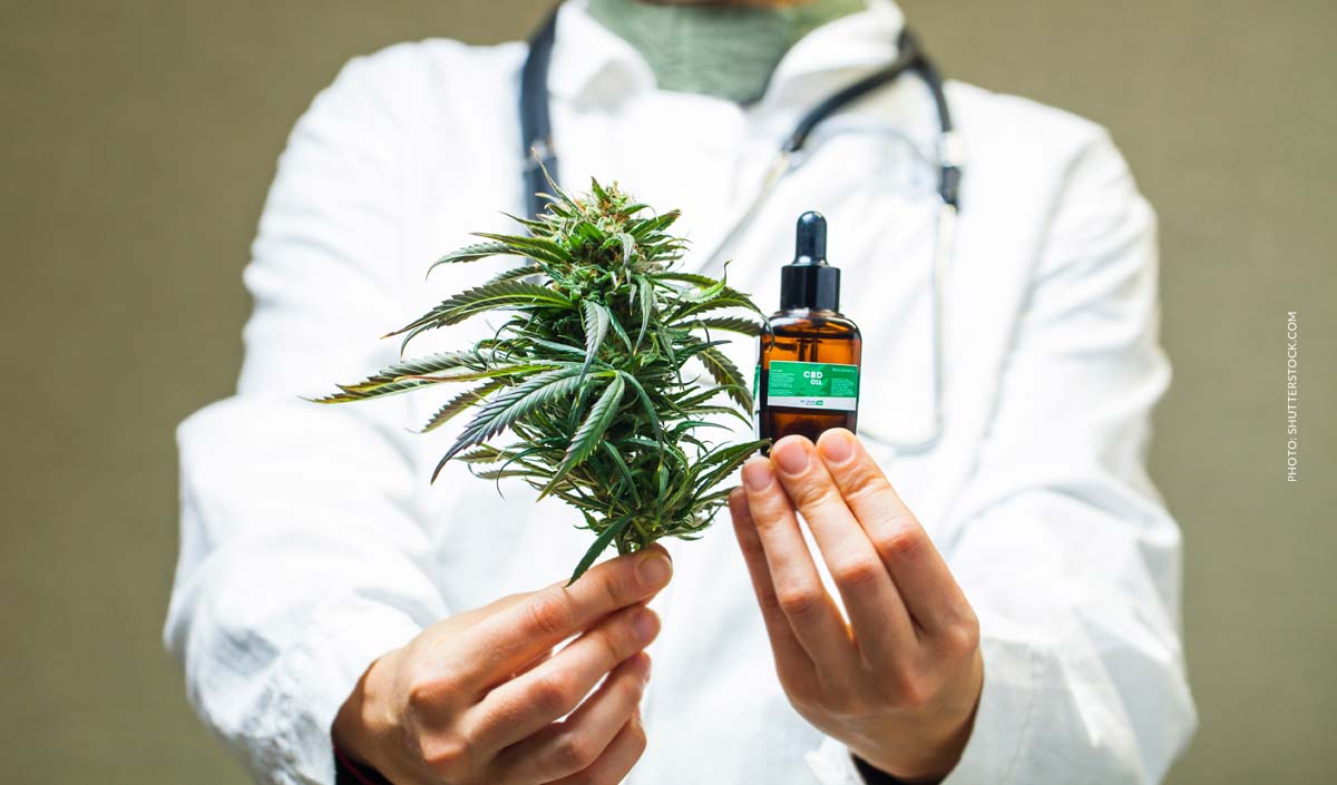 Medizinisches Cannabis