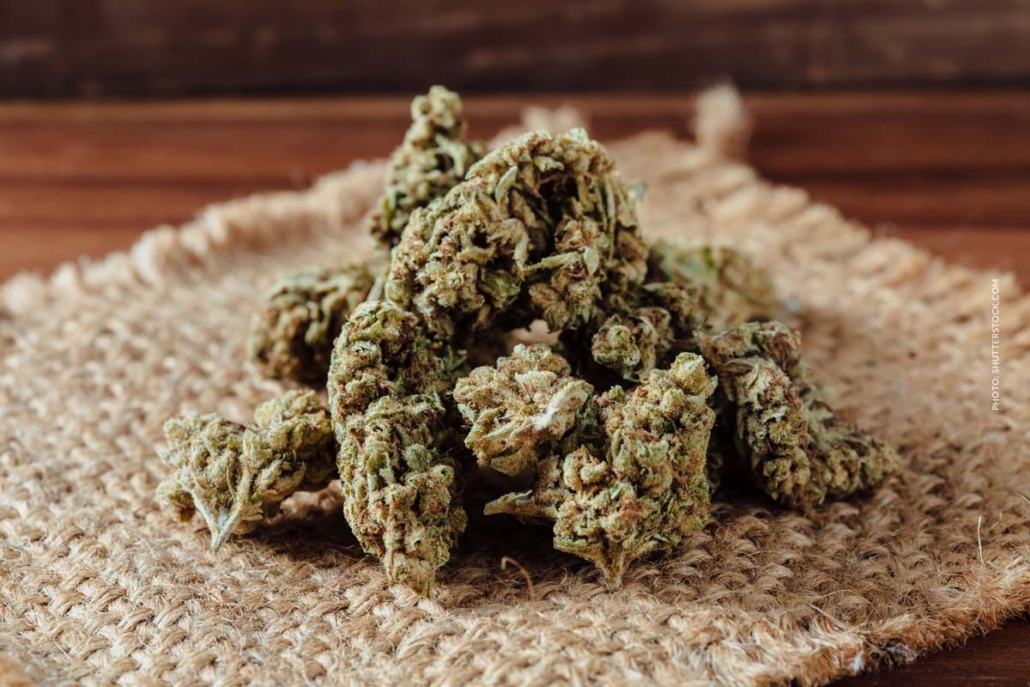 cannabis-sorte-blute-bud-blute-tisch-shop-thc-aroma-decke