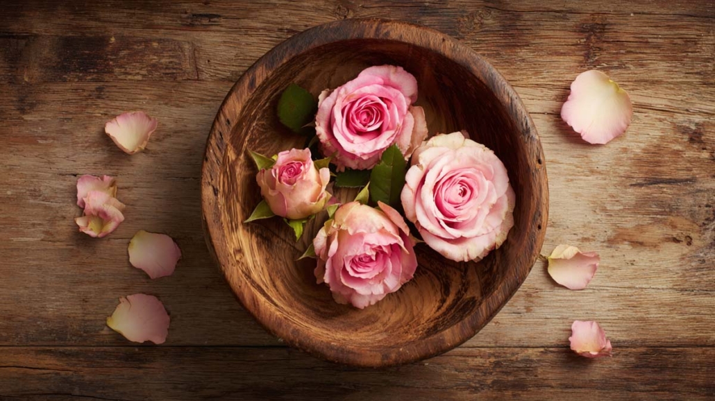 geraniol-rose-rosig-blumig-terpen-aroma-geschmack-wirkung-effekt-cannabis-weed-hanf-marihuana-sorte